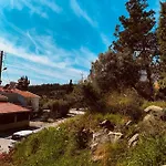 Toulipa Seaside Appartement *
