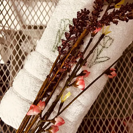 Toulipa Seaside Daire *