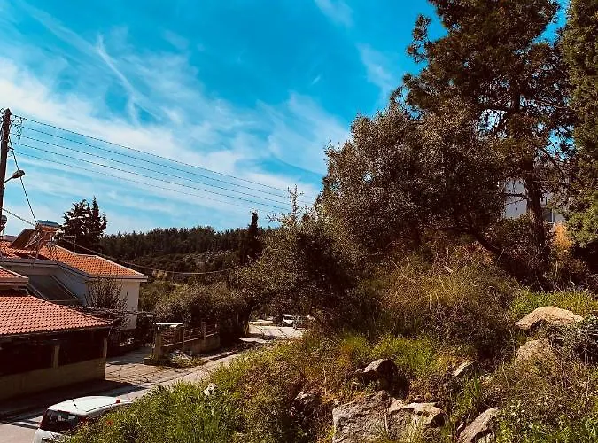 Toulipa Seaside Appartement *
