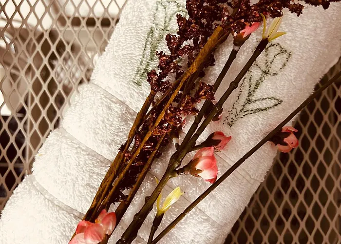 Toulipa Seaside Appartement *