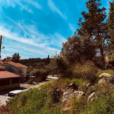 Toulipa Seaside Appartement *