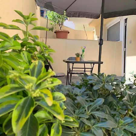 Toulipa Seaside Apartament *